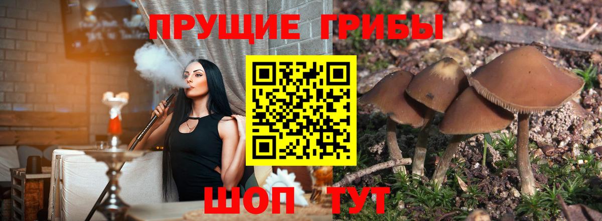 Галлюциногенные грибы мицелий  Вход с VPN  Видное  что такое наркотик  Галлюциногенные грибы ЛСД 